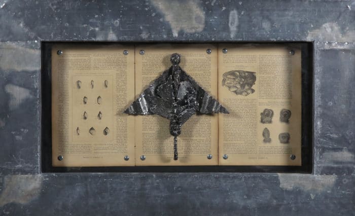 Jan Bollaert - 'Delta' - assemblage in frame