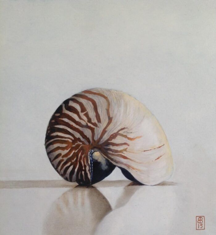 Ben Bodt - "Nautilusschelp" - olieverf op paneel