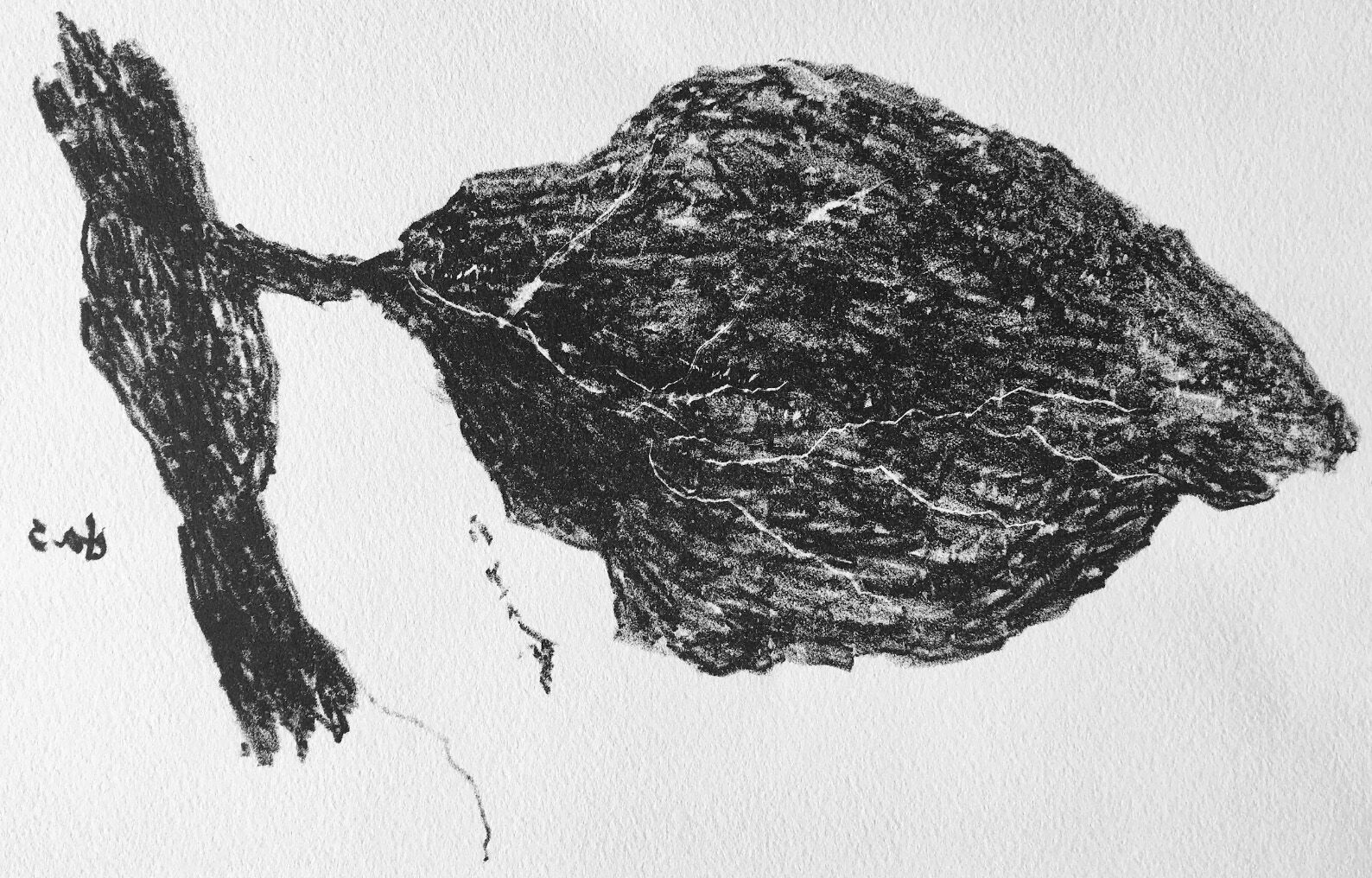 Armando - 'das Blatt' - litho, detail