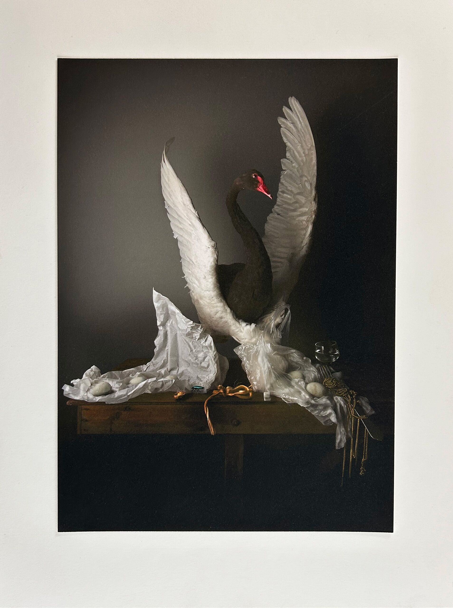 Louise te Poele - 'Zwart witte zwaan' - piëzografie - detail zwaan - blad