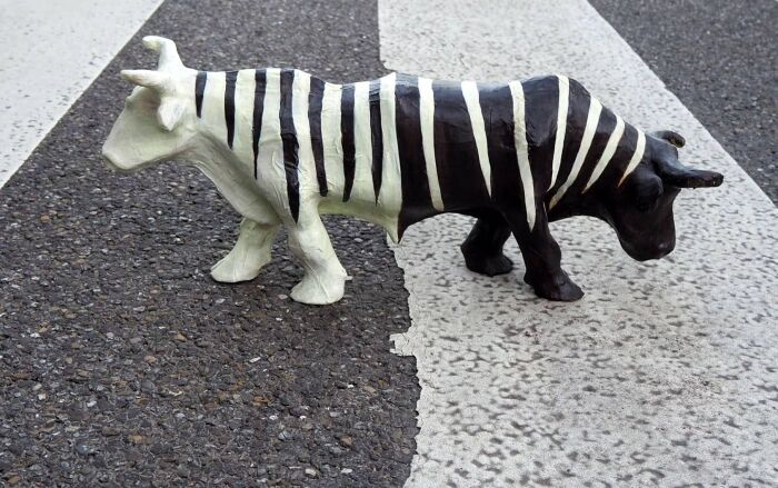 BRAM BOECKHOUT - “Where will we go?” sculpture in papier-mâché